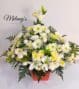 blessing v1 2023 (7)