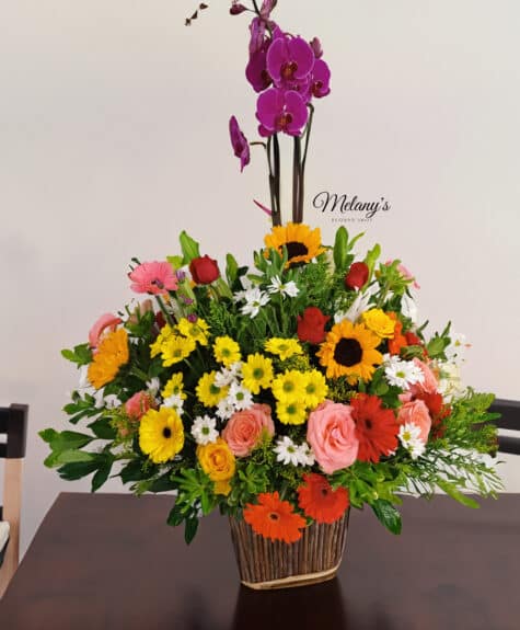 IMG_20231118_091935