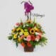 bloom 2 199