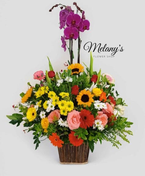 bloom 2 199