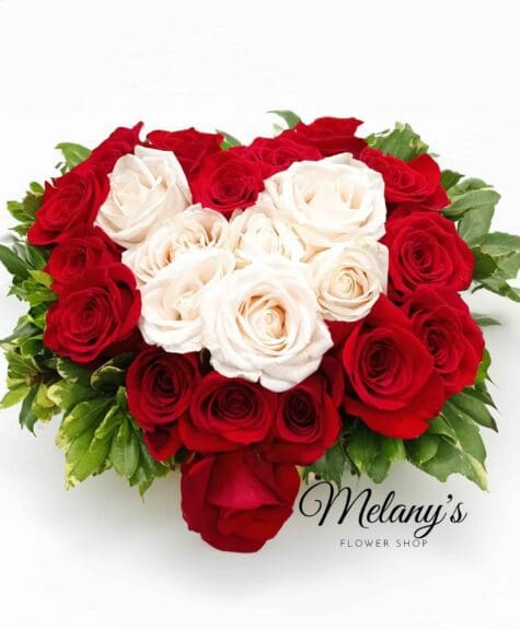 corazon rojo y blanco 1 69 Love in red and white