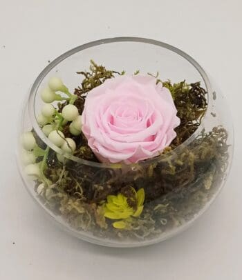 Rosa preservada PINK 2