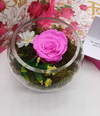 Rosa preservada PINK 1