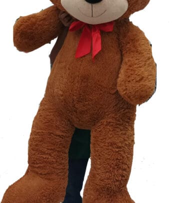Oso de peluche