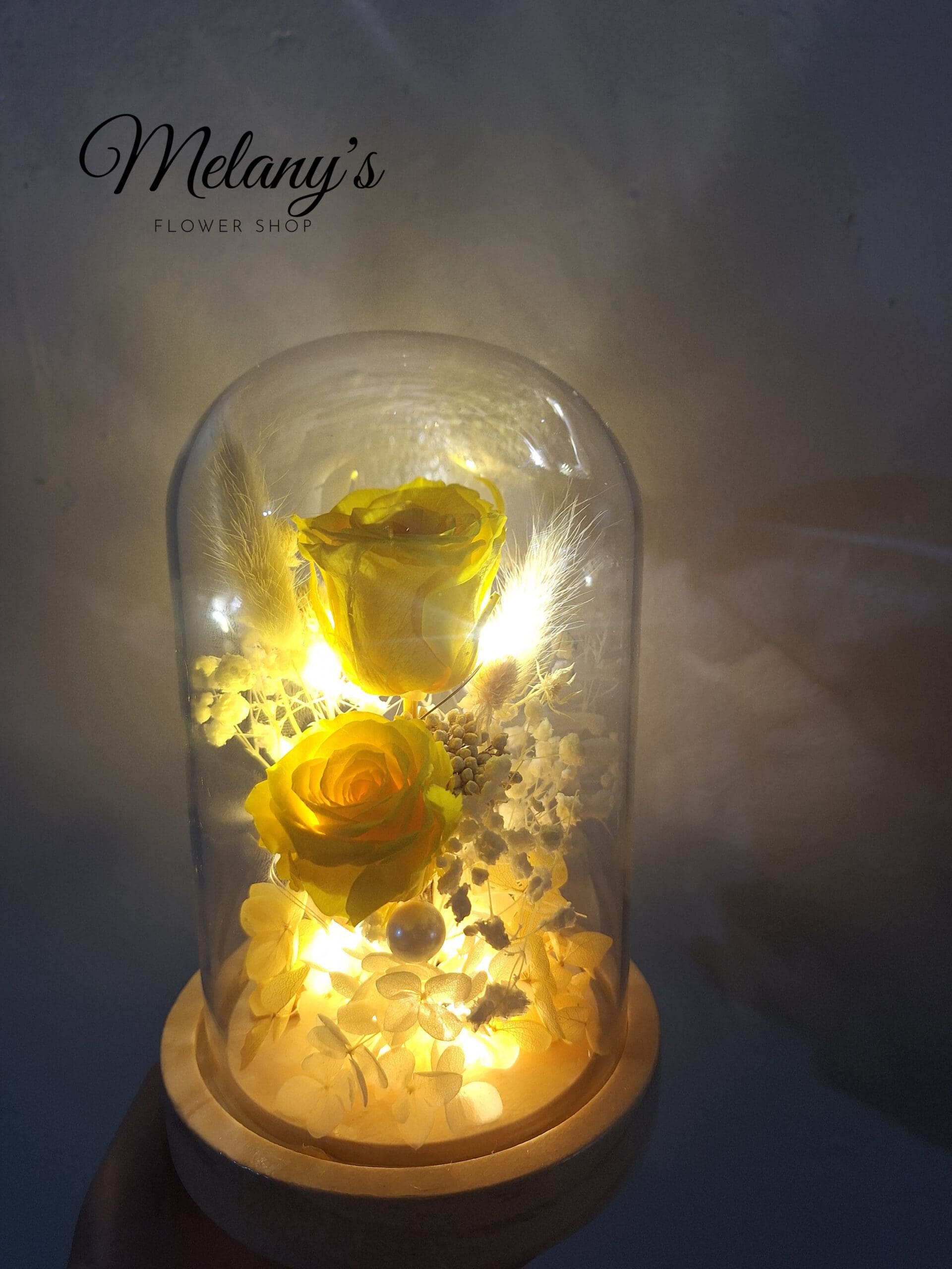 Rosa preservada con luces led (oferta especial de AGOSTO)
